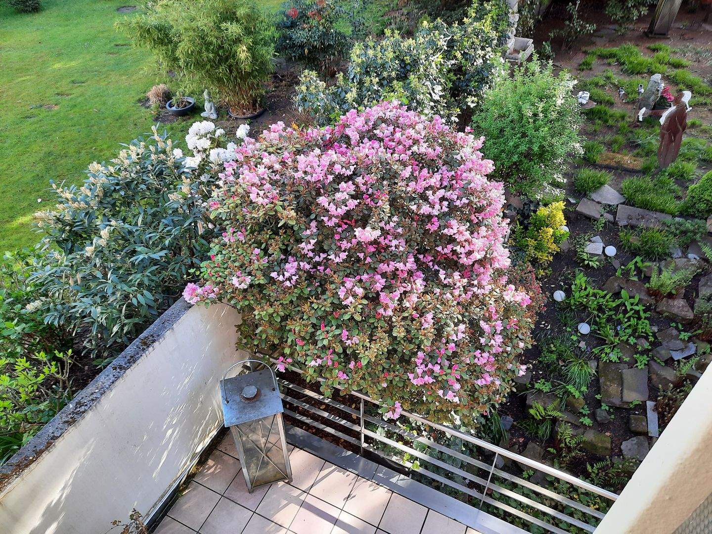 Bild 3