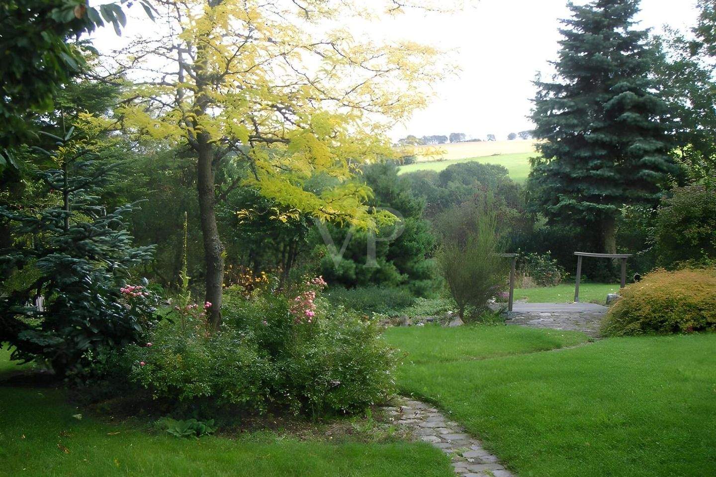 Bild 9
