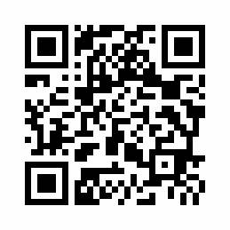 Bild 17