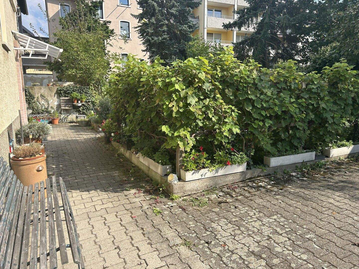 Bild 6