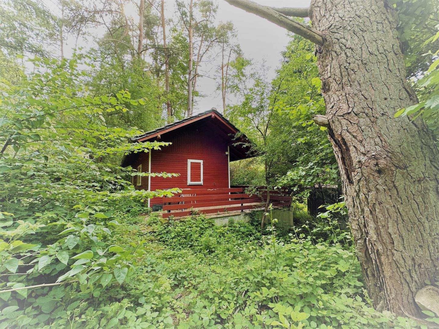 Bild 3