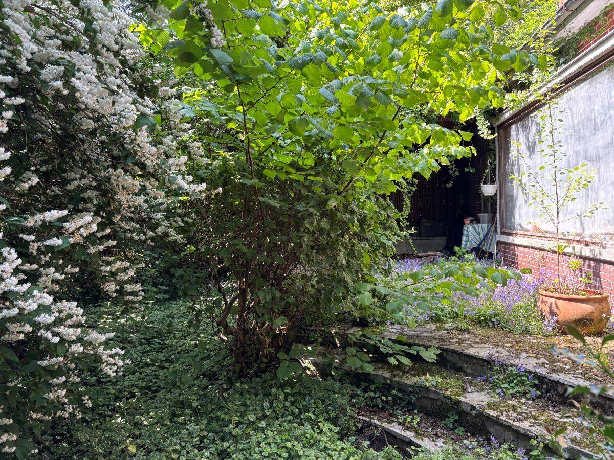 Bild 14