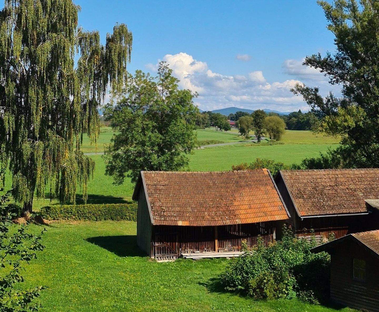 Bild 7