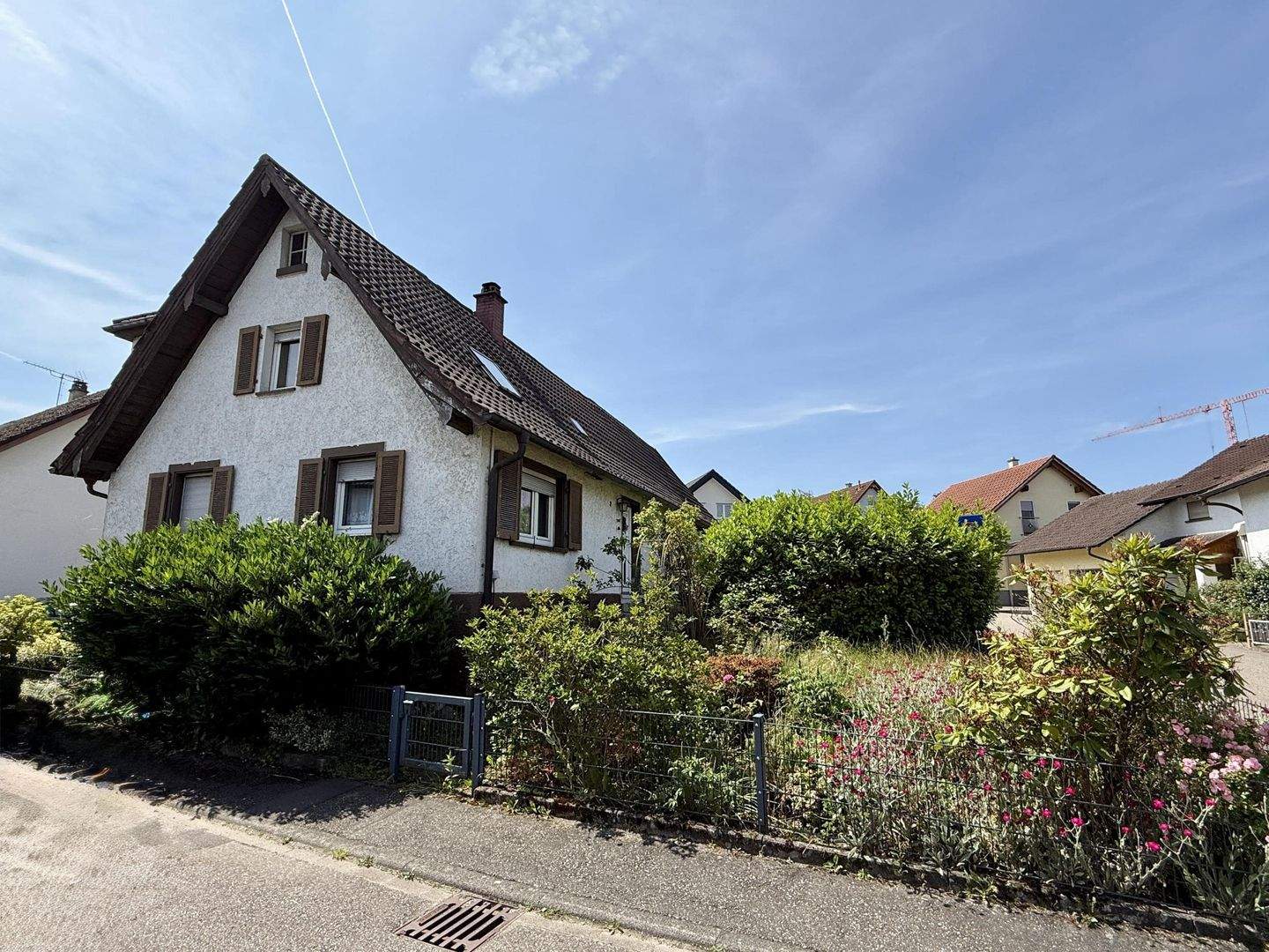 Bild 5