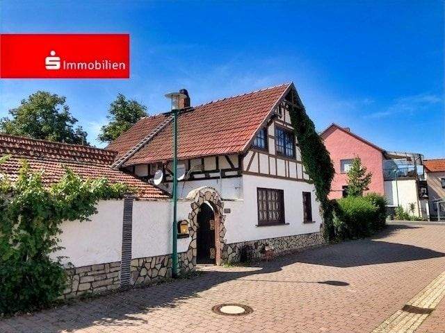 Bild 7
