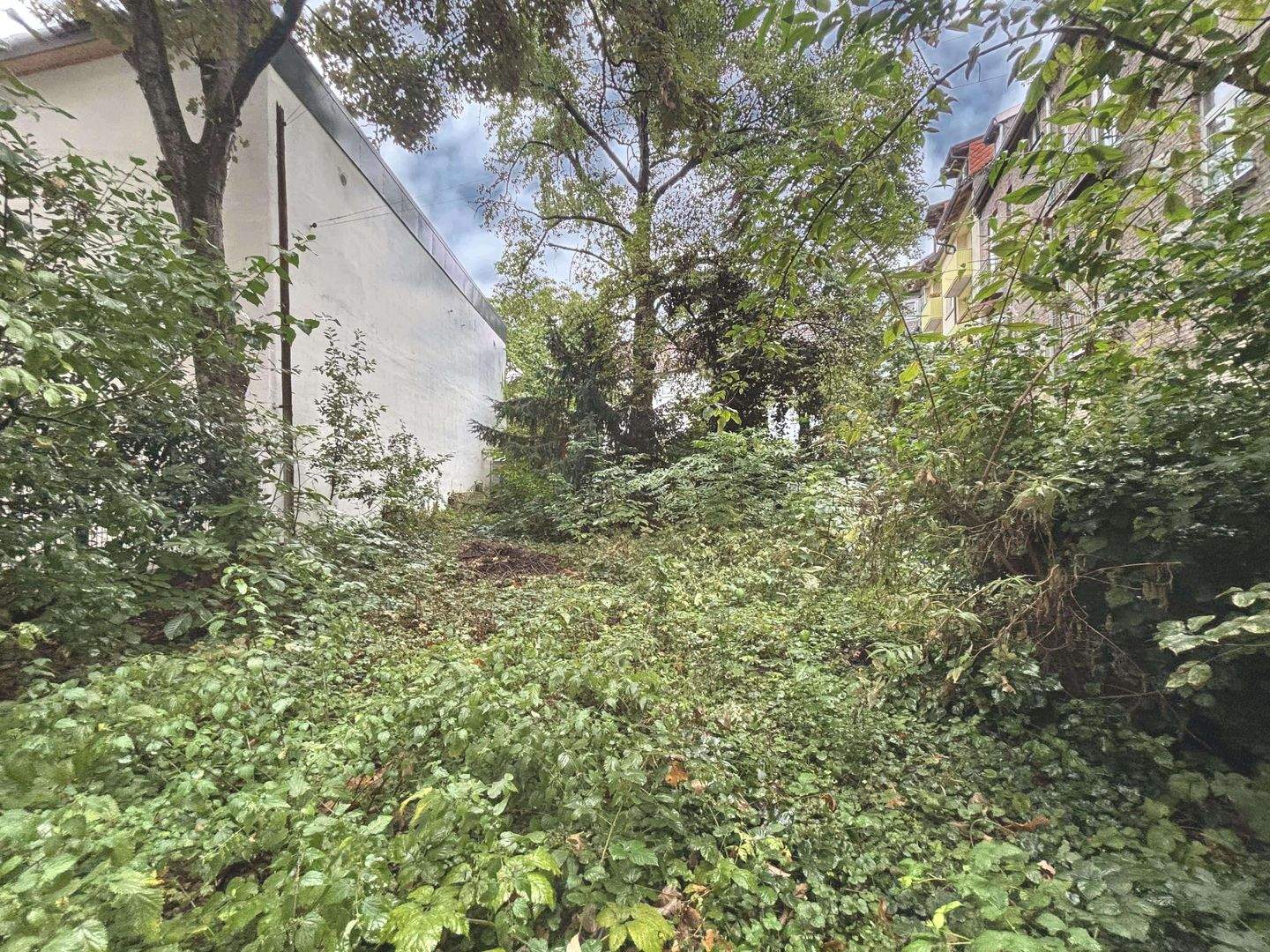 Bild 11
