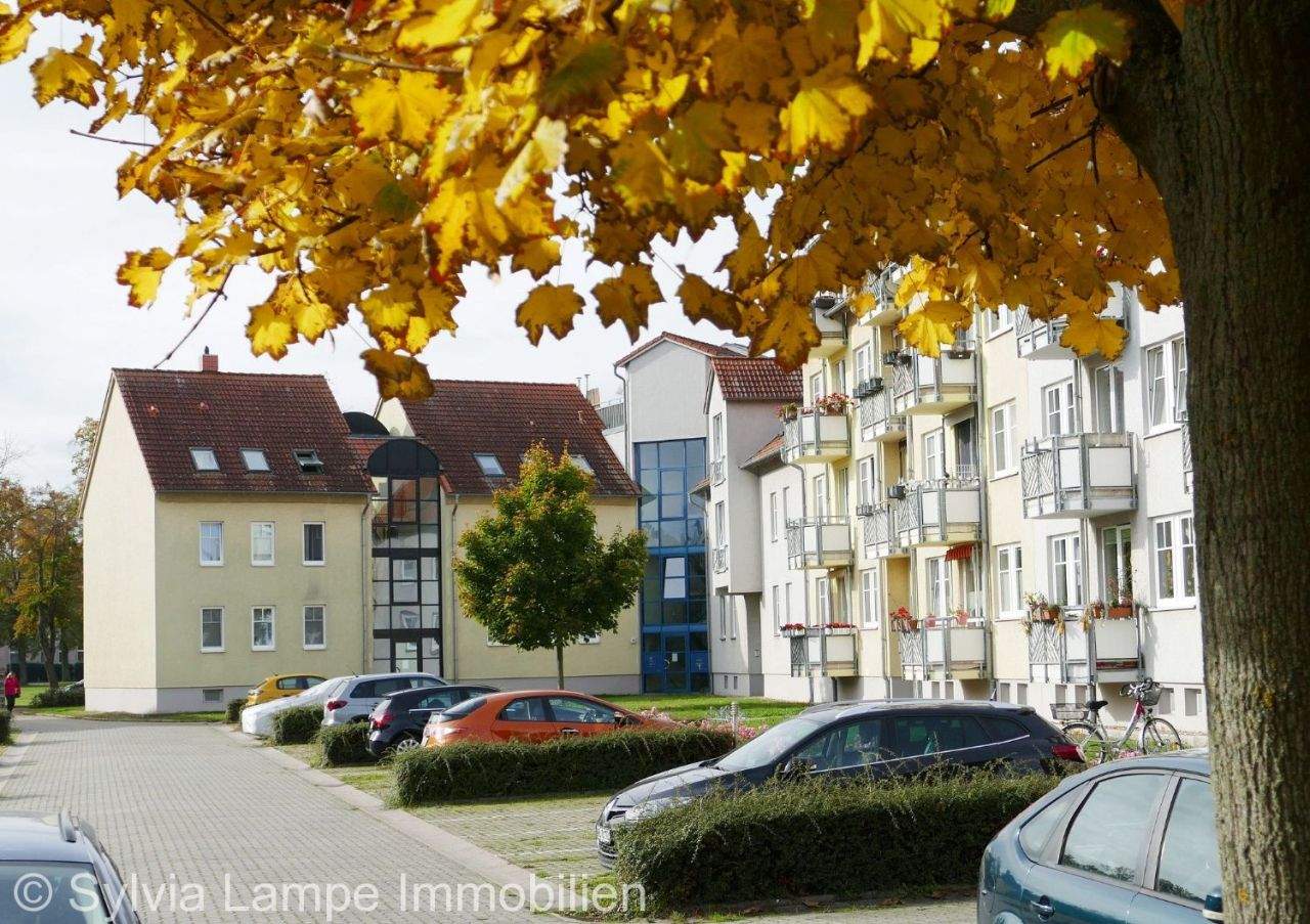 Bild 5