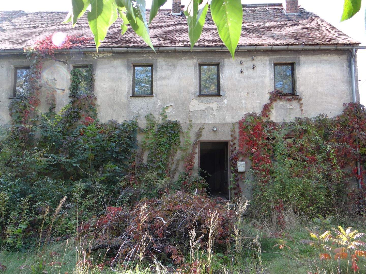 Bild 5