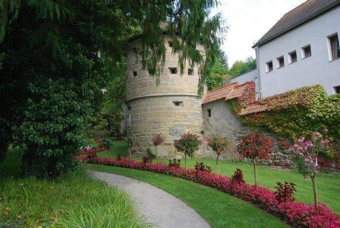Bild 7
