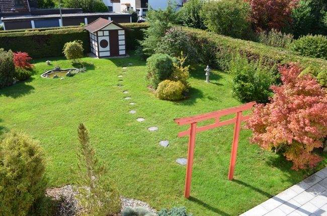 Bild 5