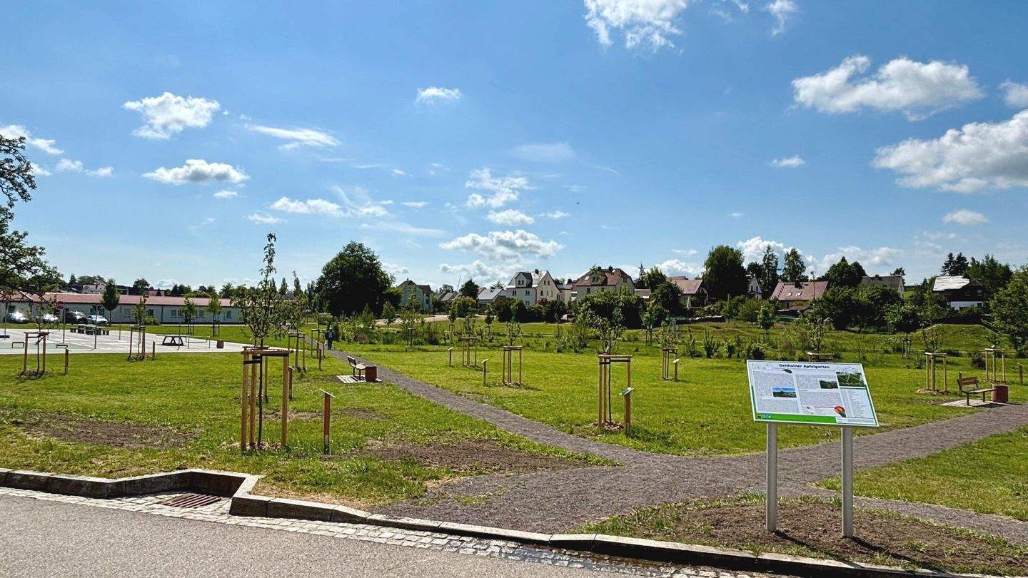 Bild 12