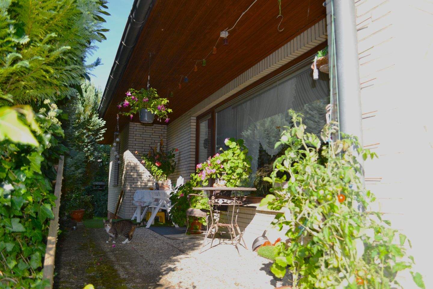 Bild 6