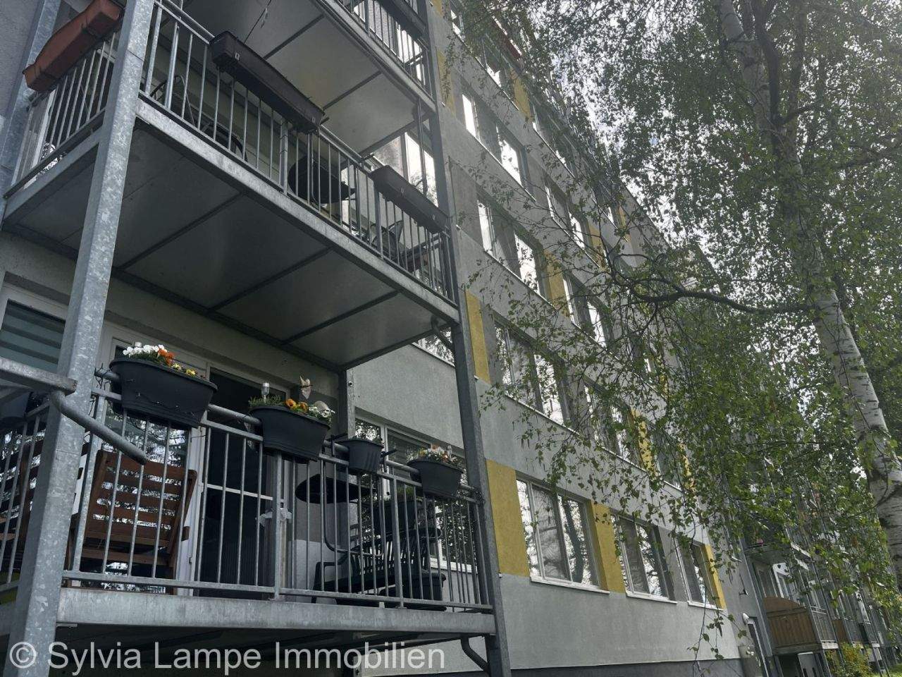 Bild 8