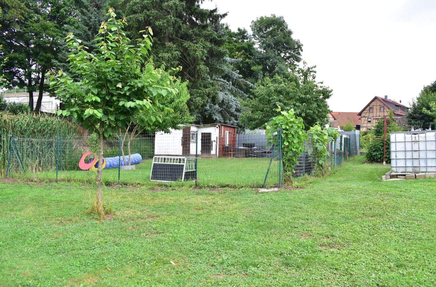 Bild 4