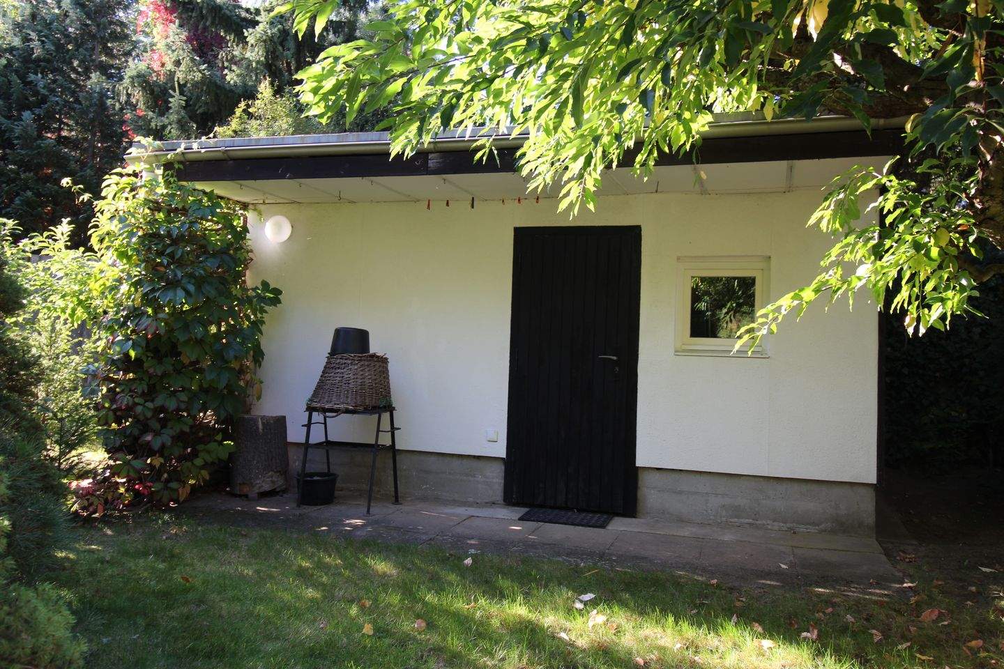 Bild 11