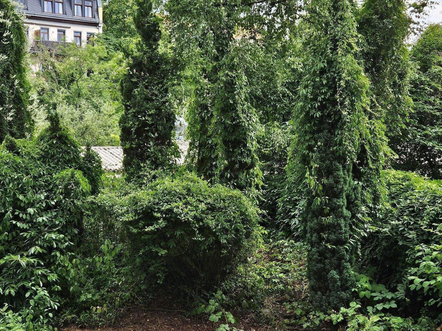 Bild 8