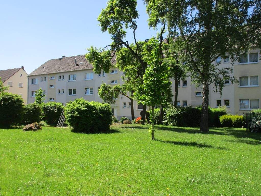 Bild 7