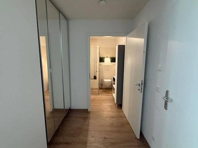 Bild 15