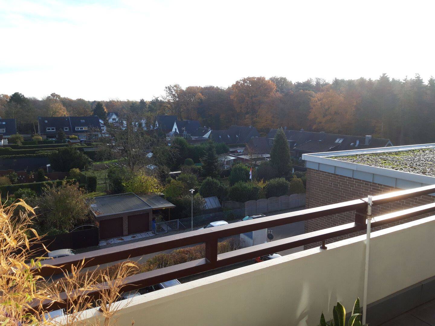 Bild 7