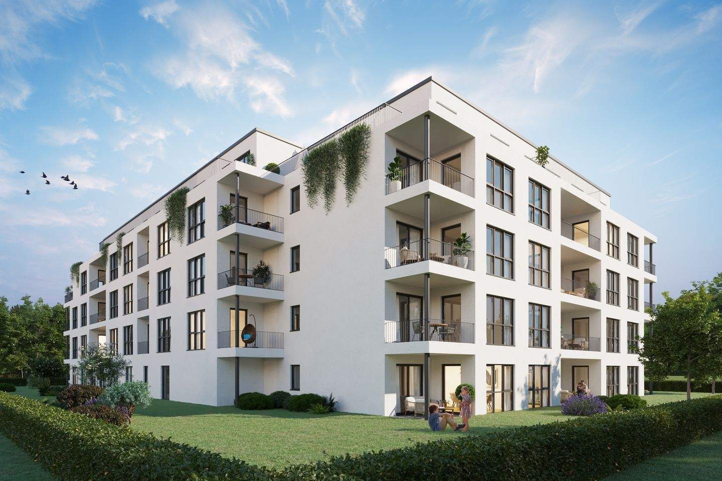 Bild 5