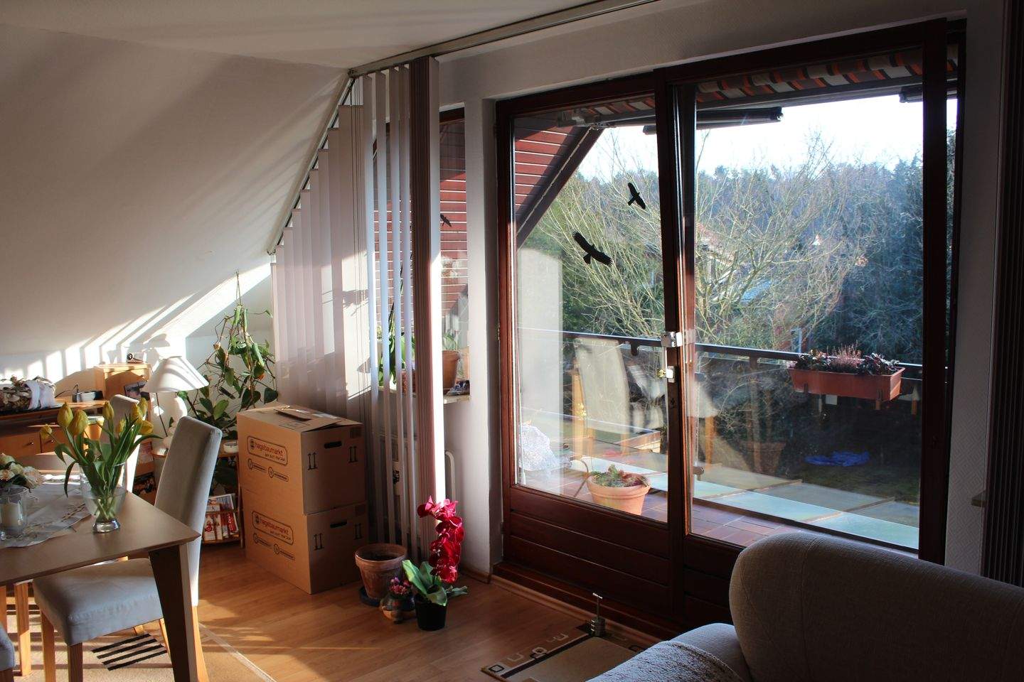 Bild 6