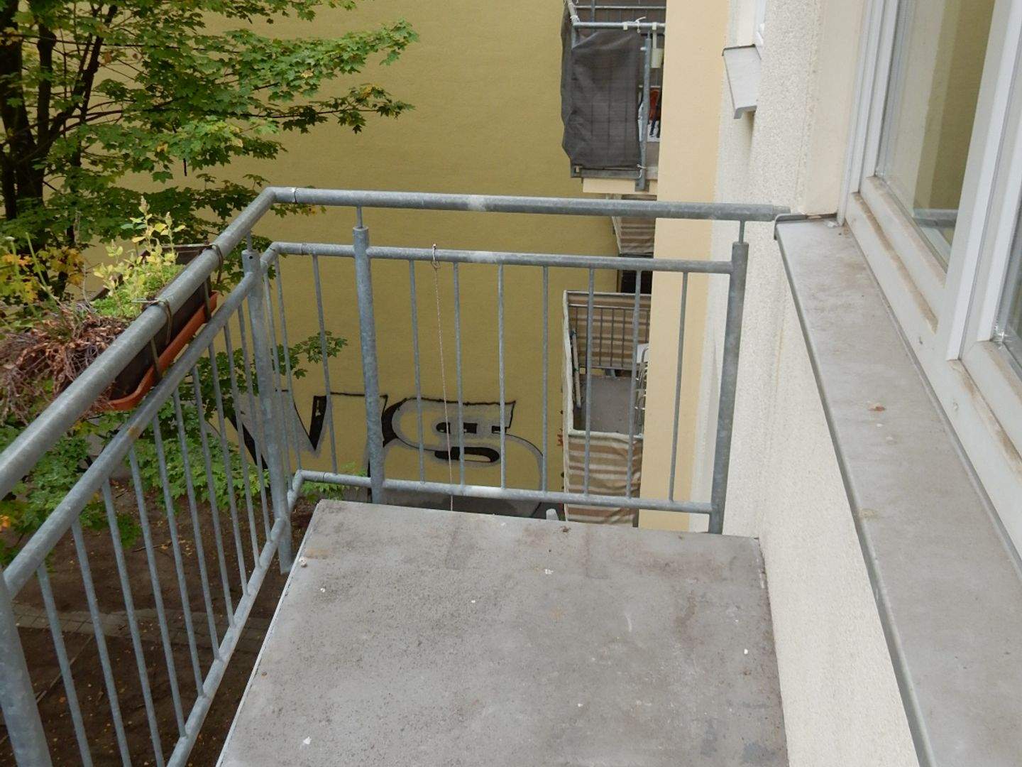 Bild 8