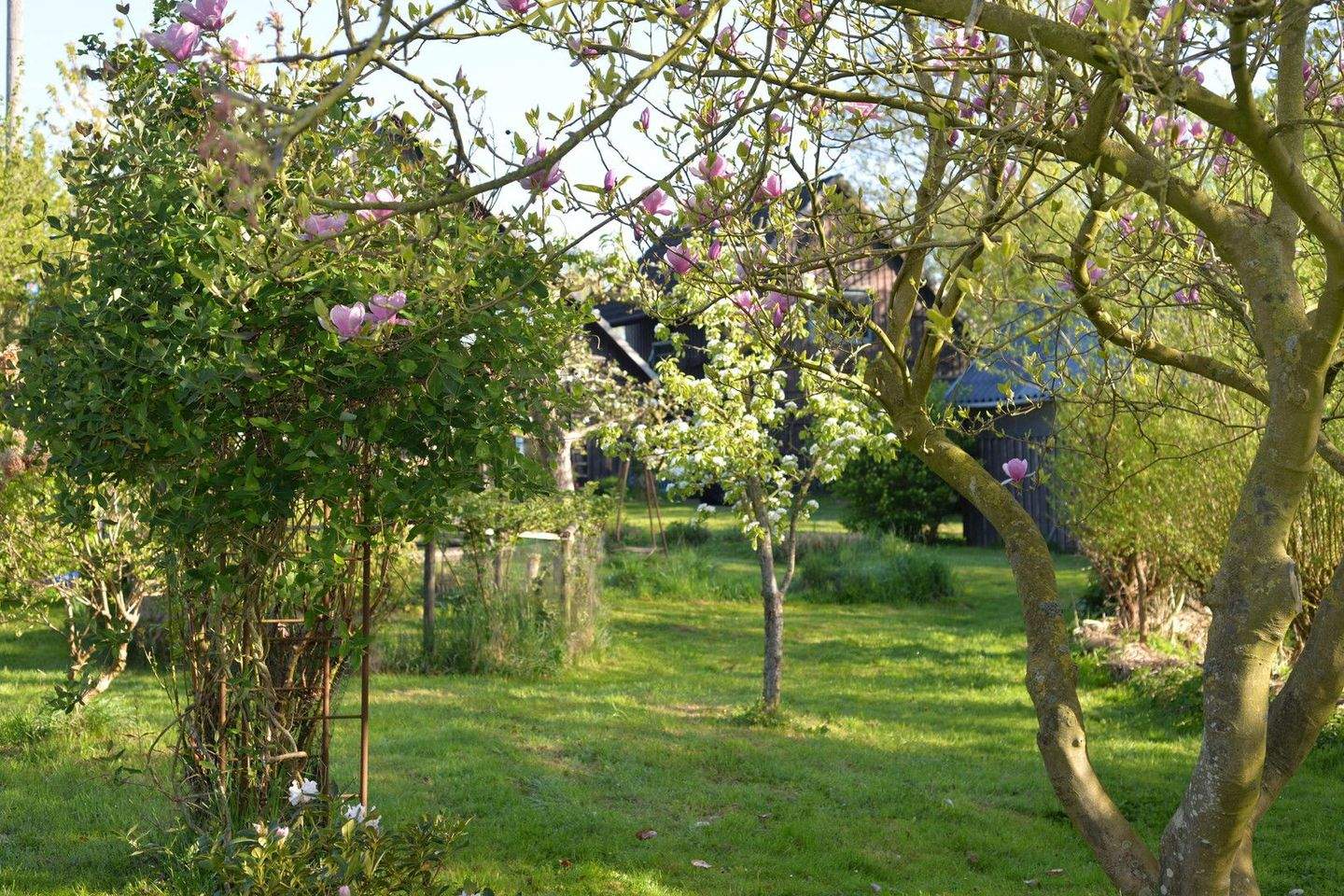 Bild 8