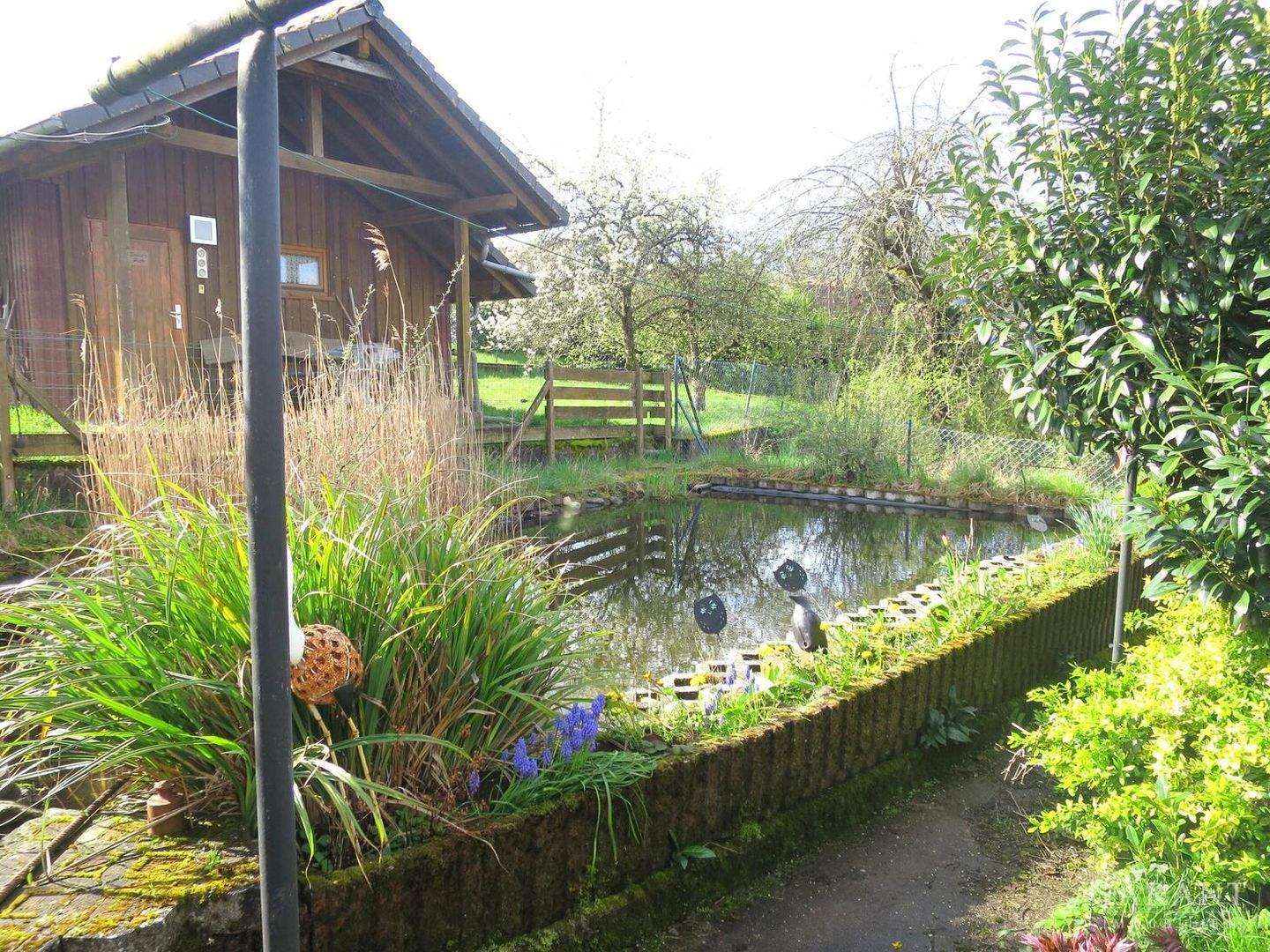 Bild 4