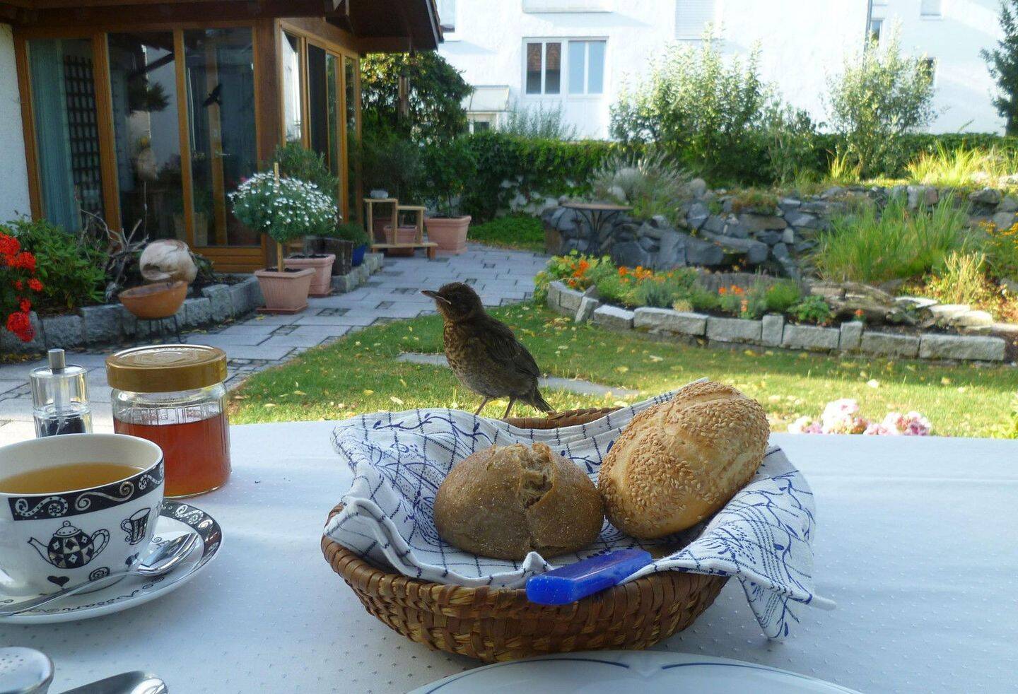 Bild 8