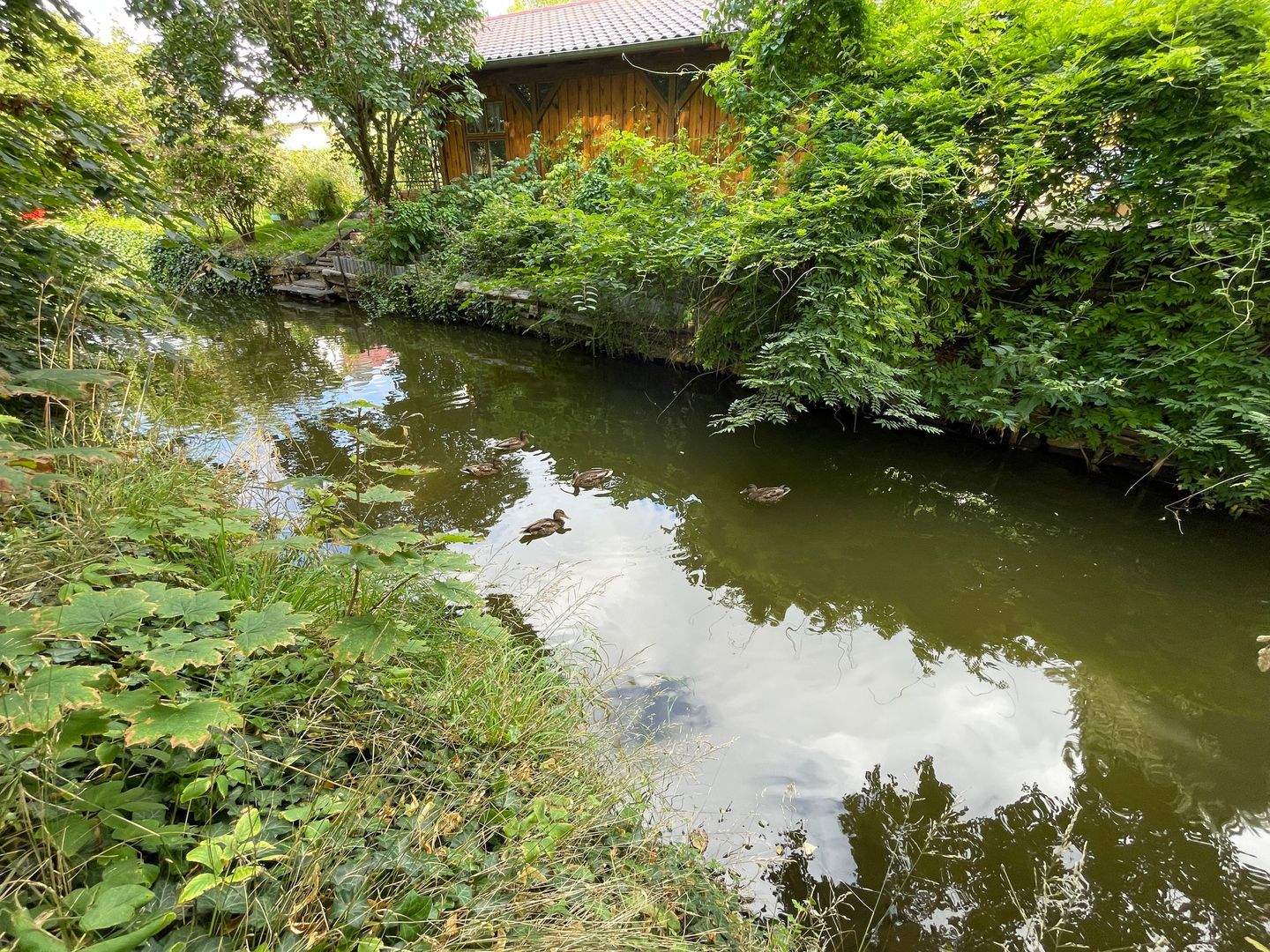 Bild 6