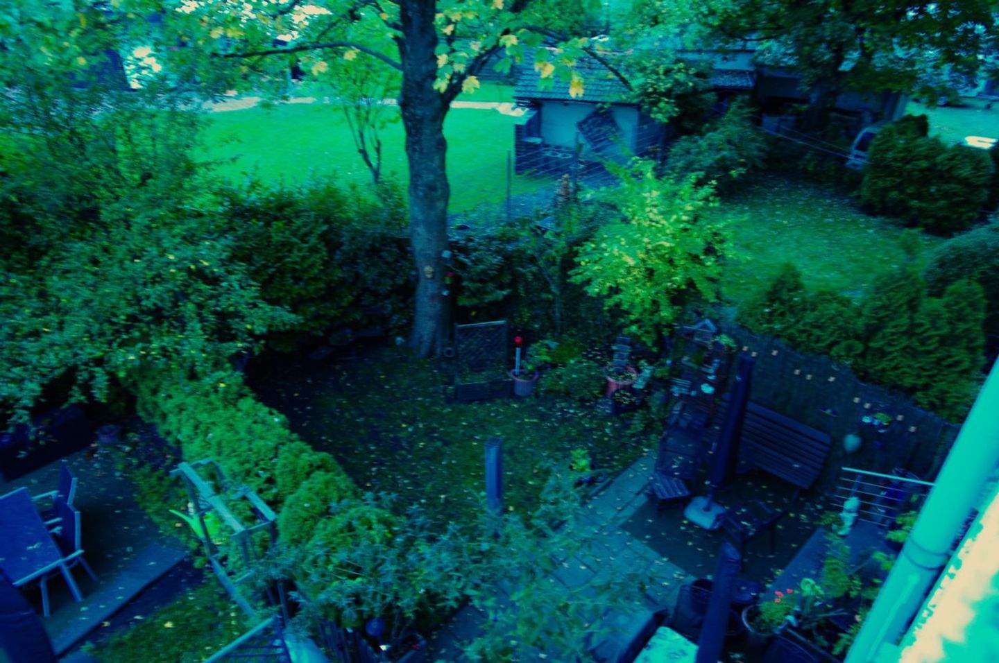 Bild 7