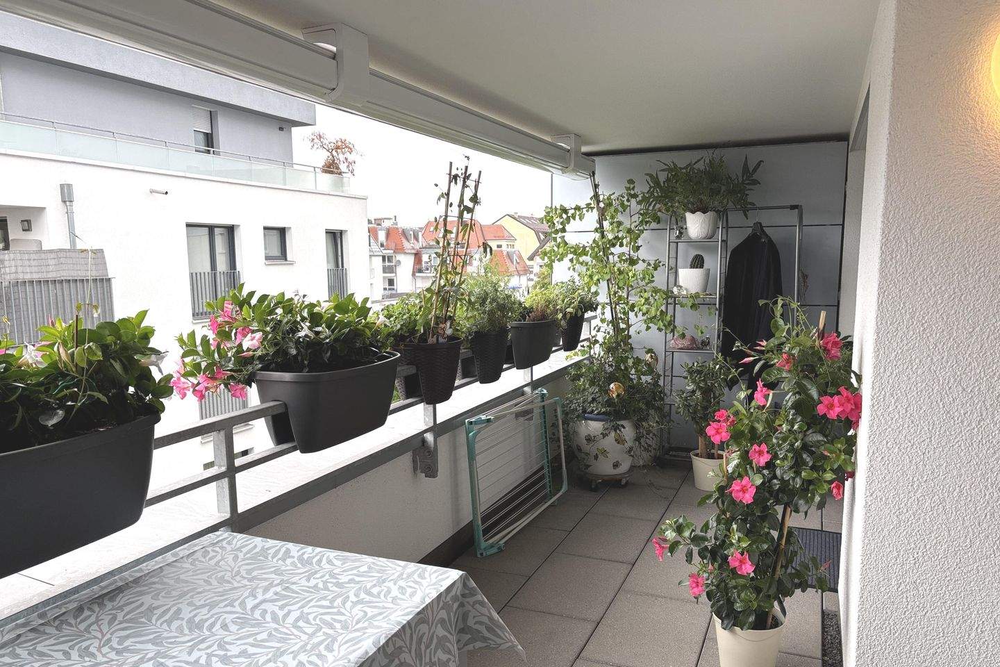 Bild 9