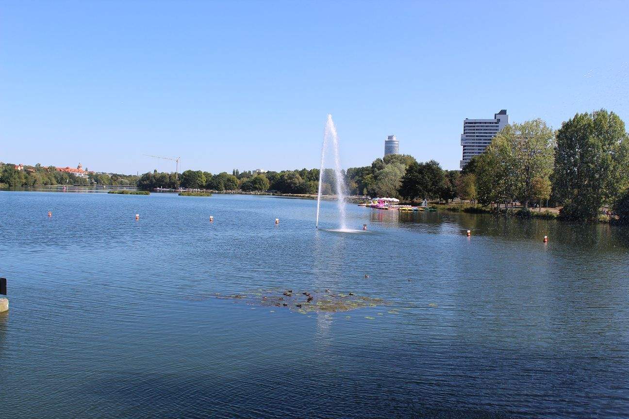 Bild 11