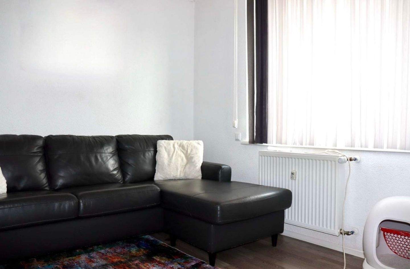 Bild 5