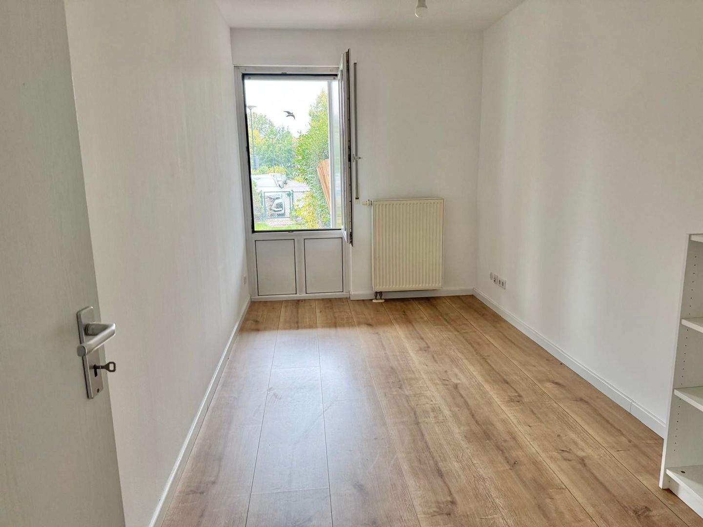 Bild 11