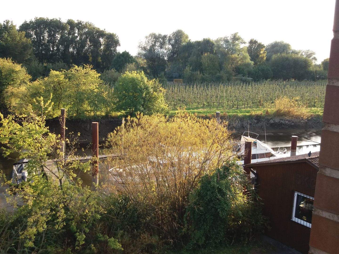 Bild 11