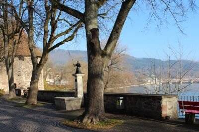 Bild 7