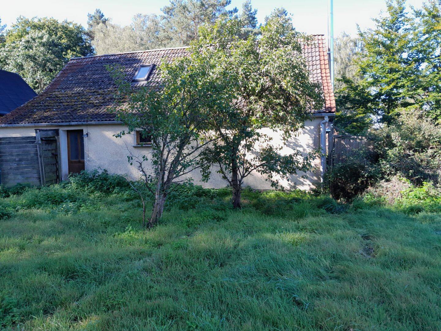 Bild 5