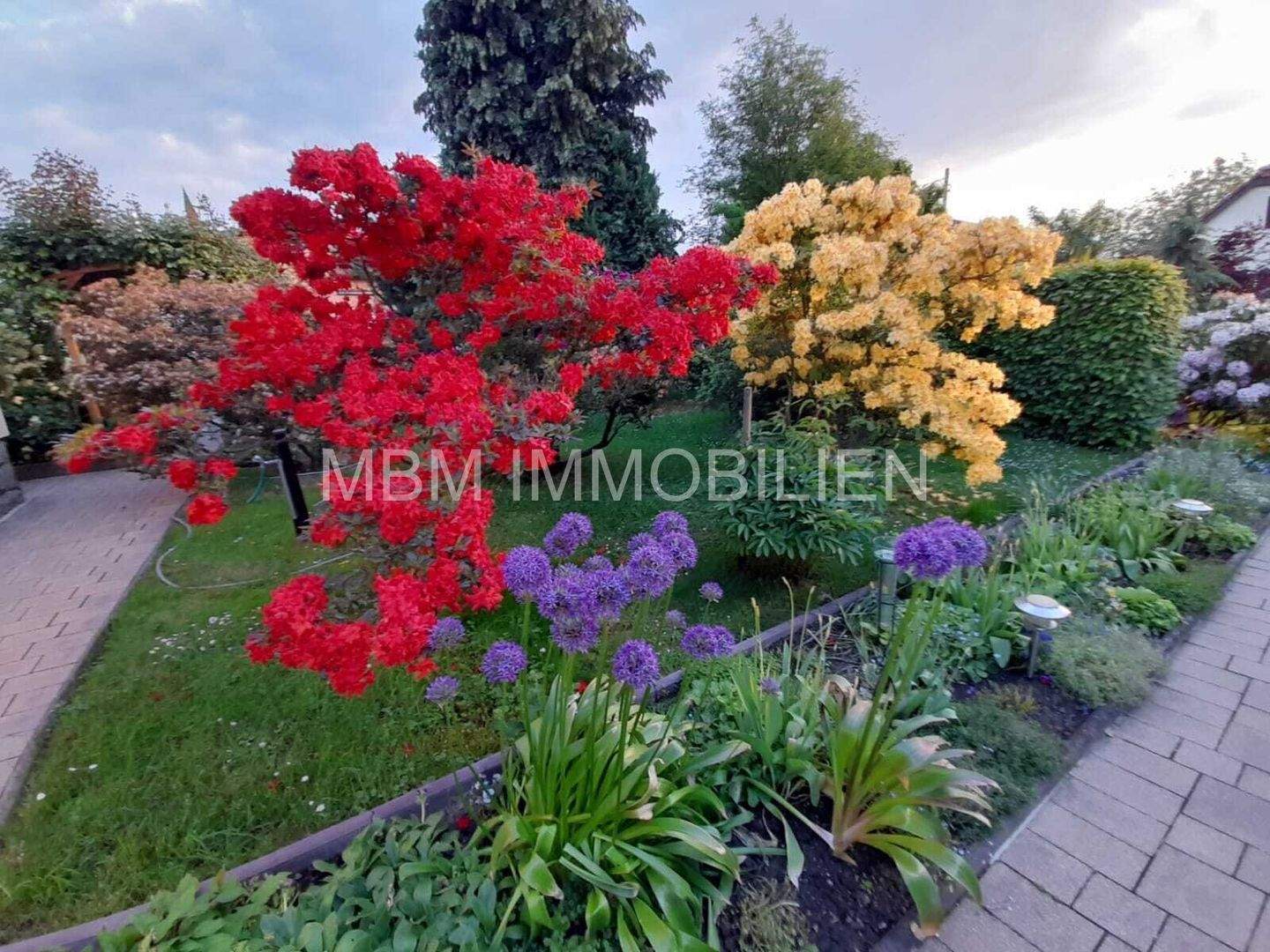 Bild 9