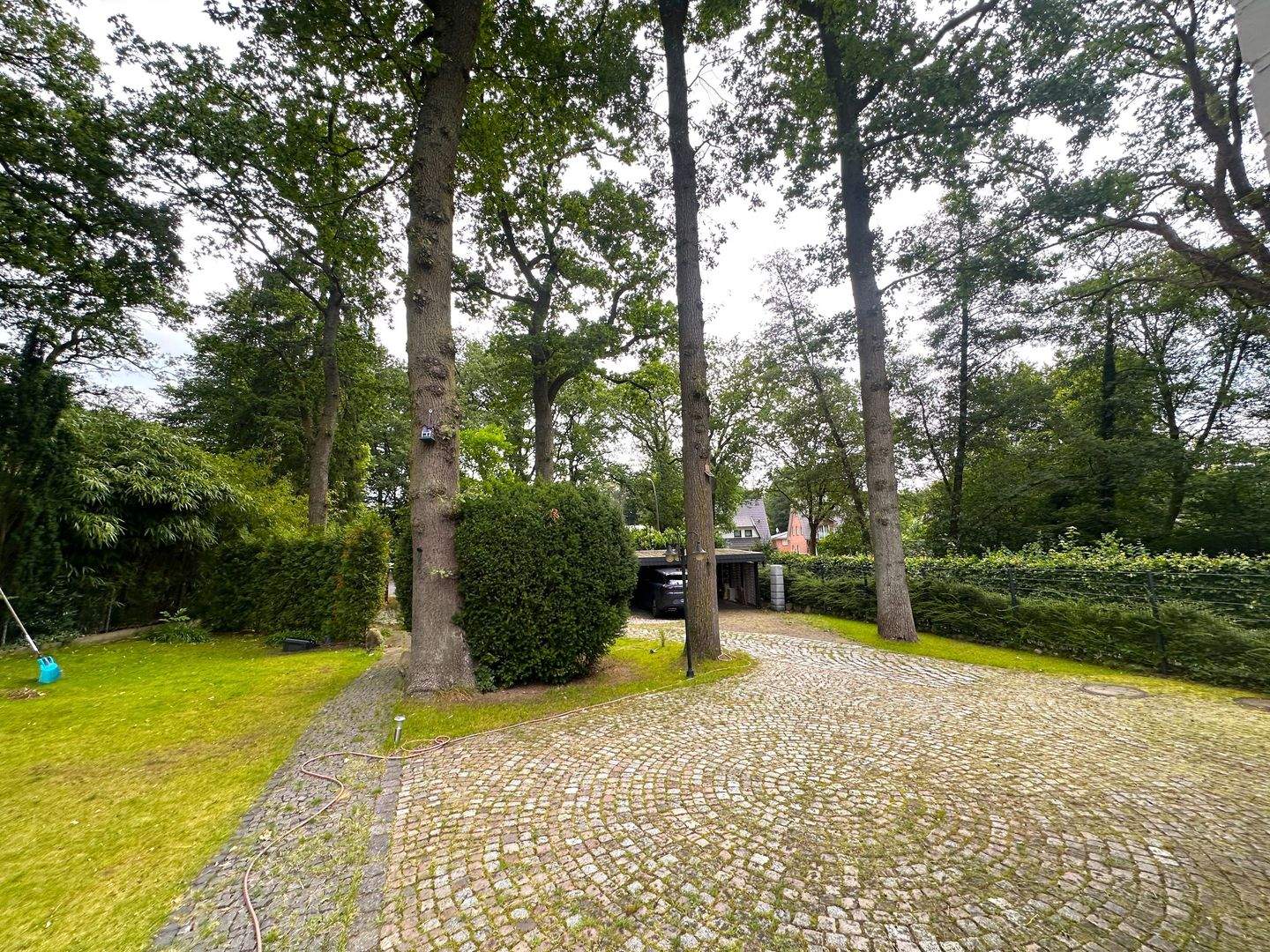 Bild 5