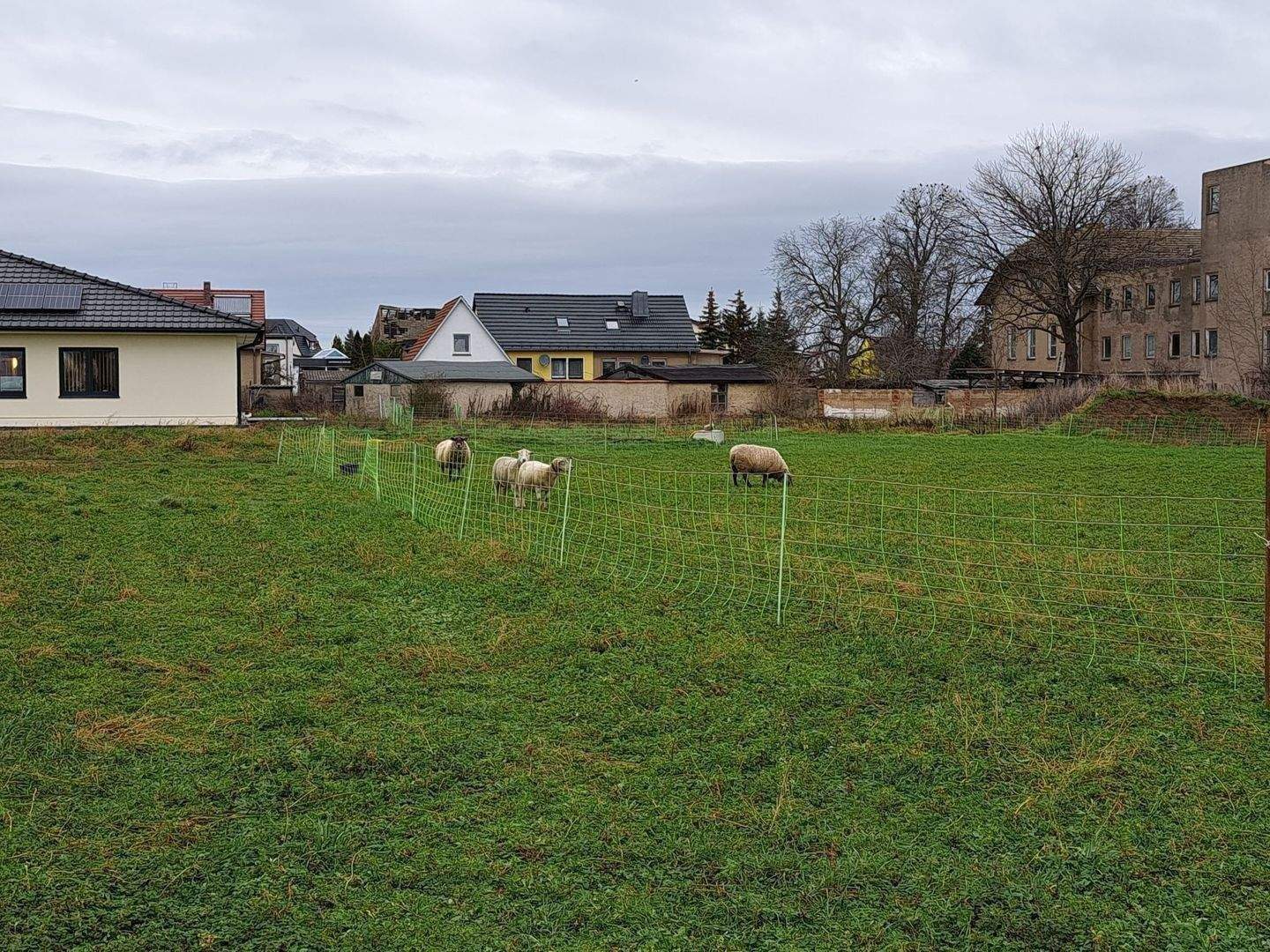 Bild 11