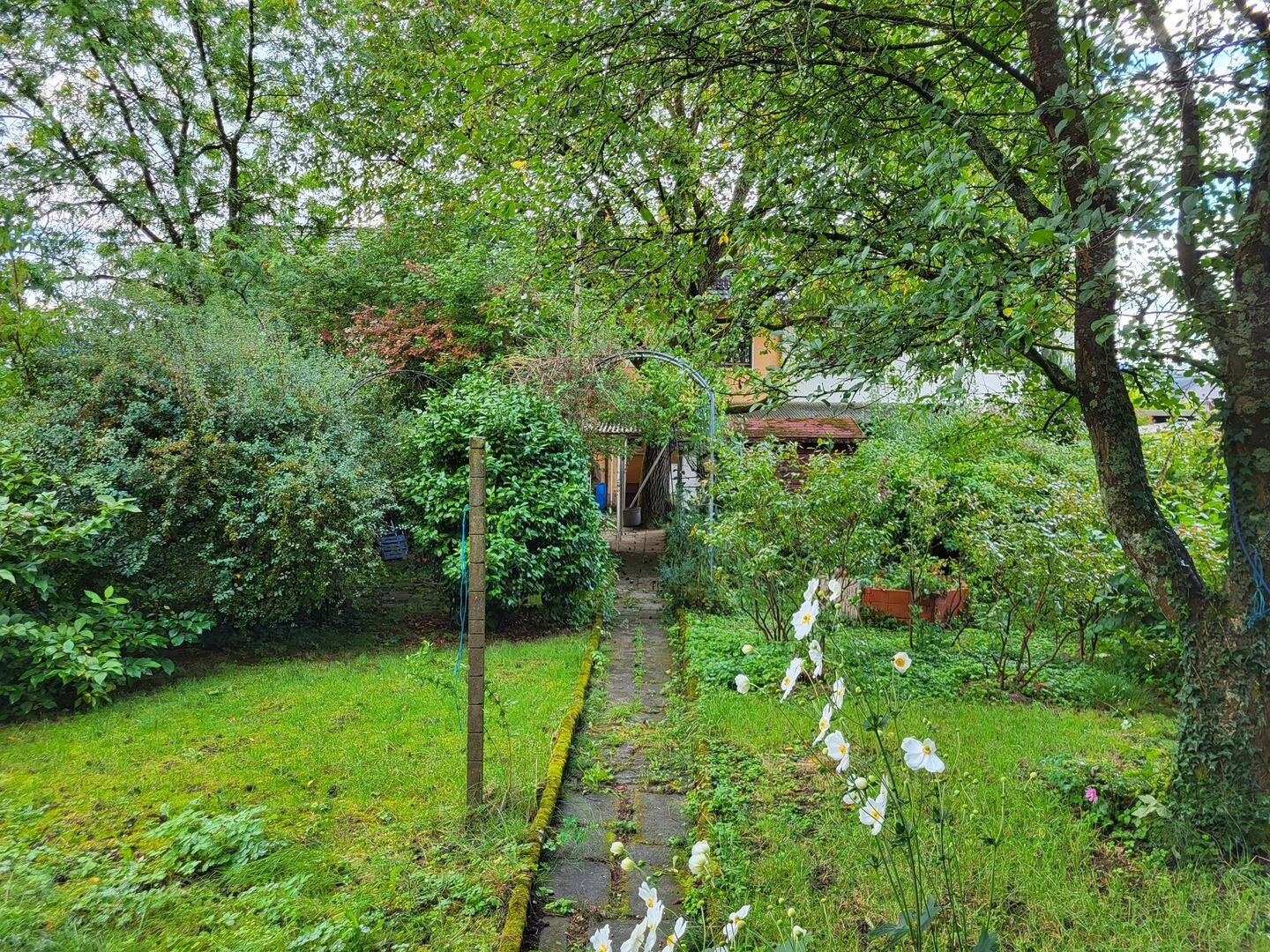 Bild 7