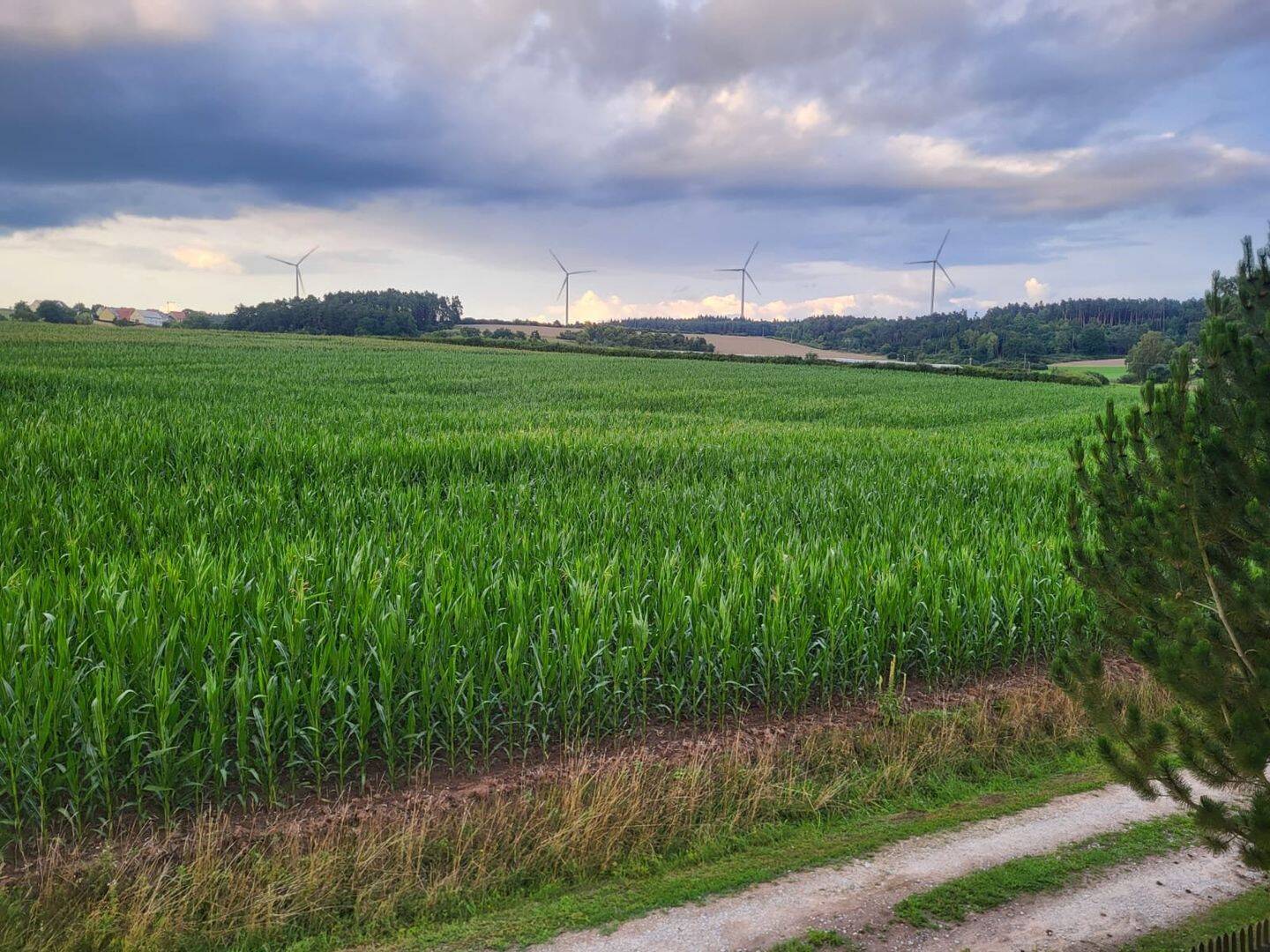 Bild 5