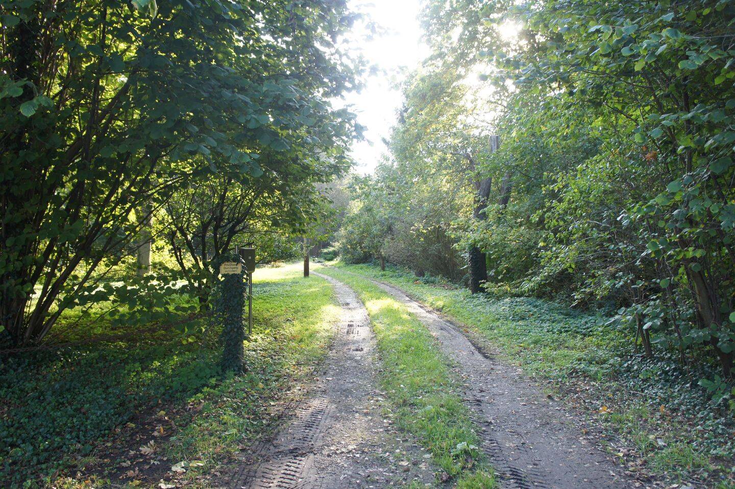 Bild 13