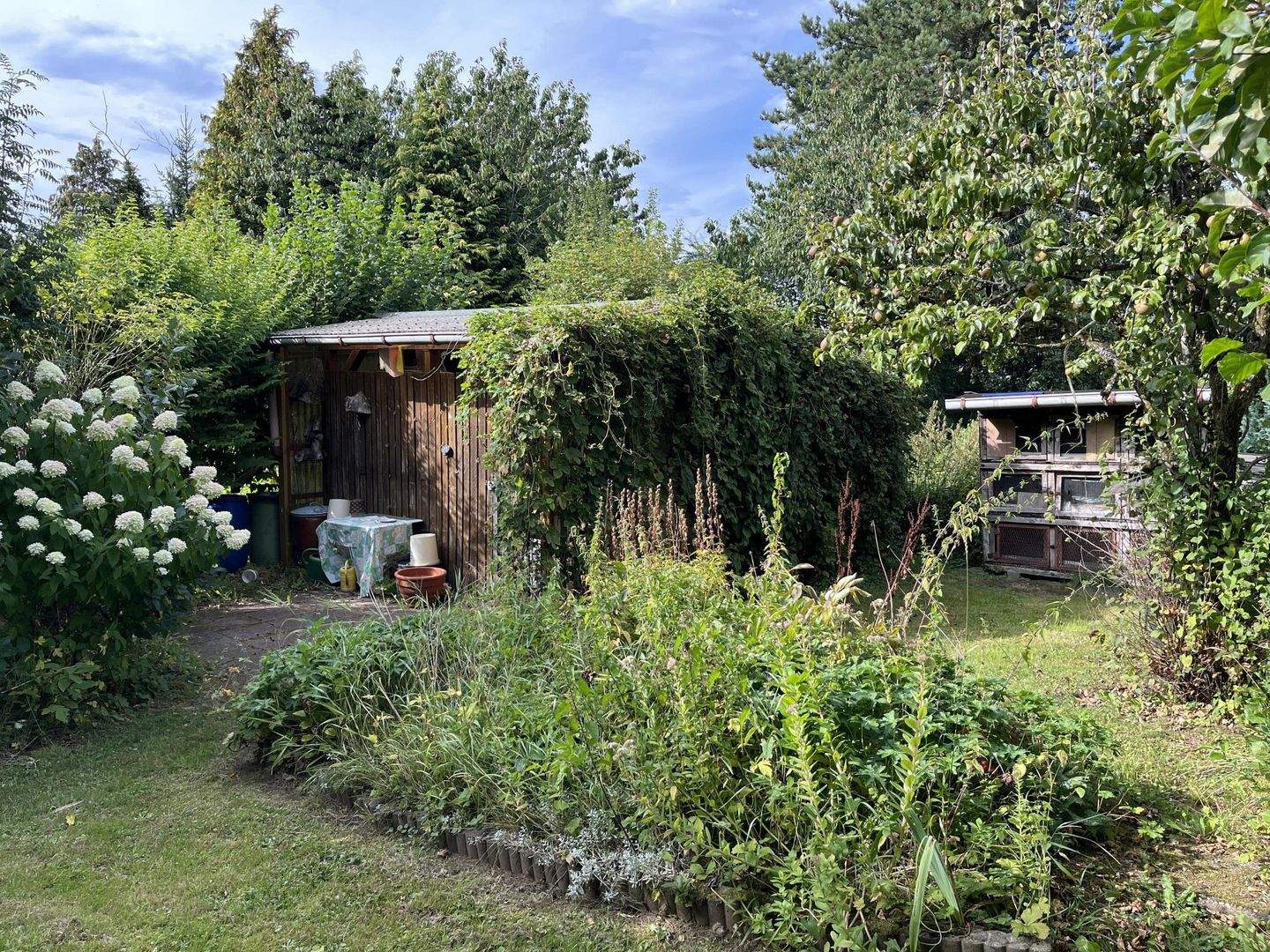 Bild 6