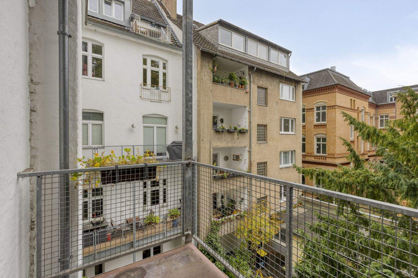 Bild 5