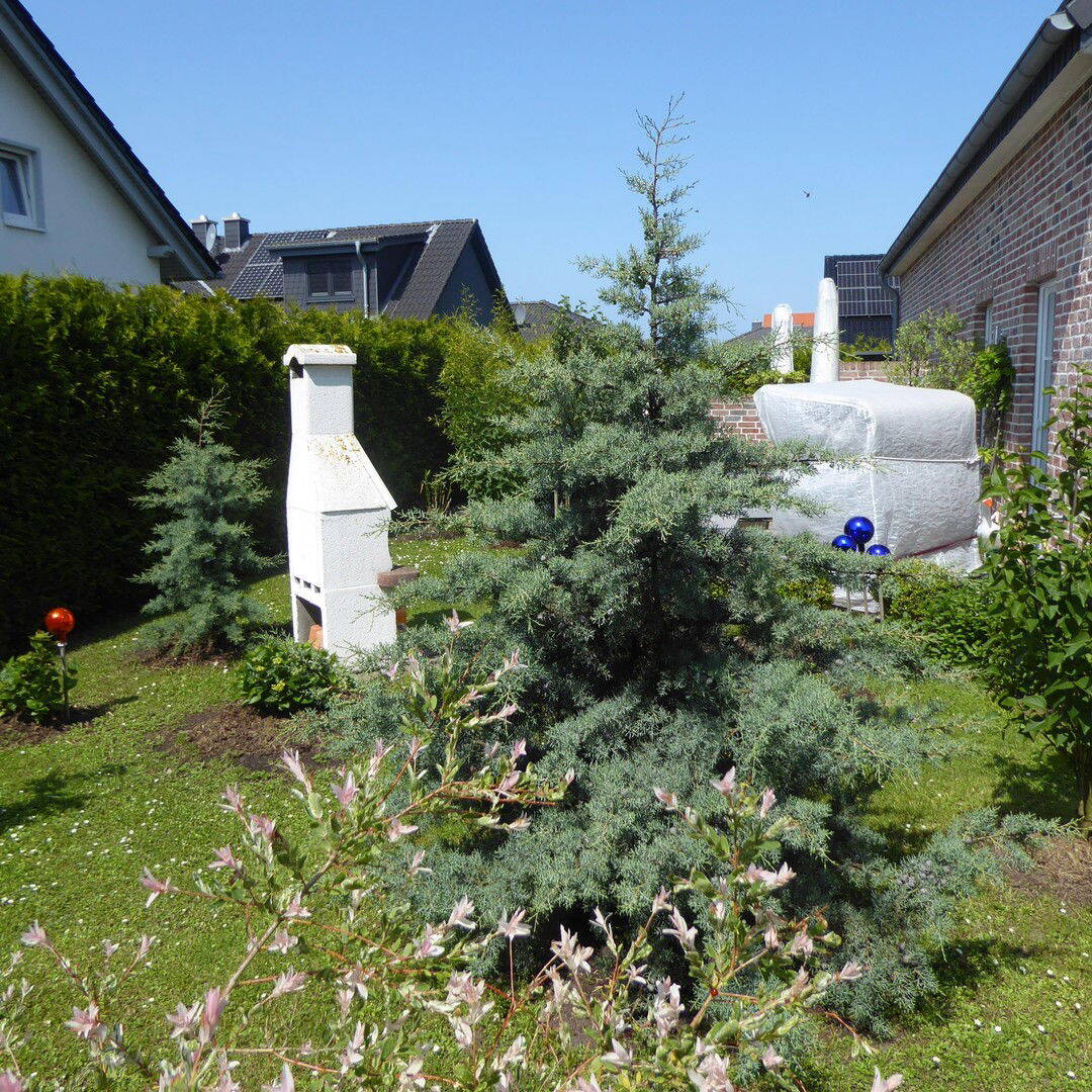 Bild 10