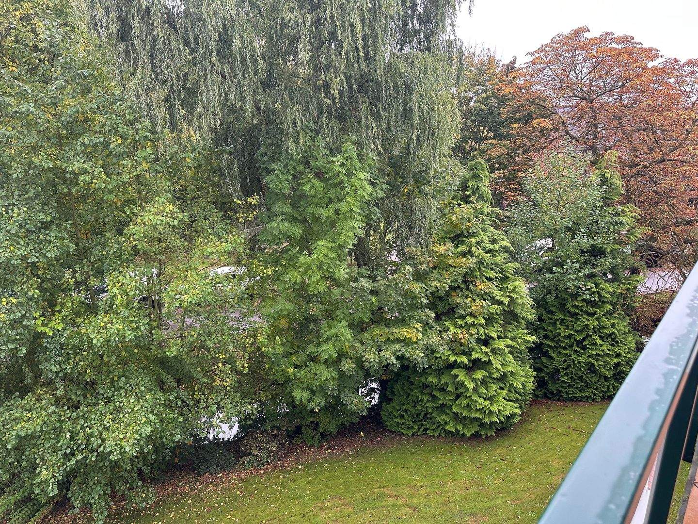 Bild 11