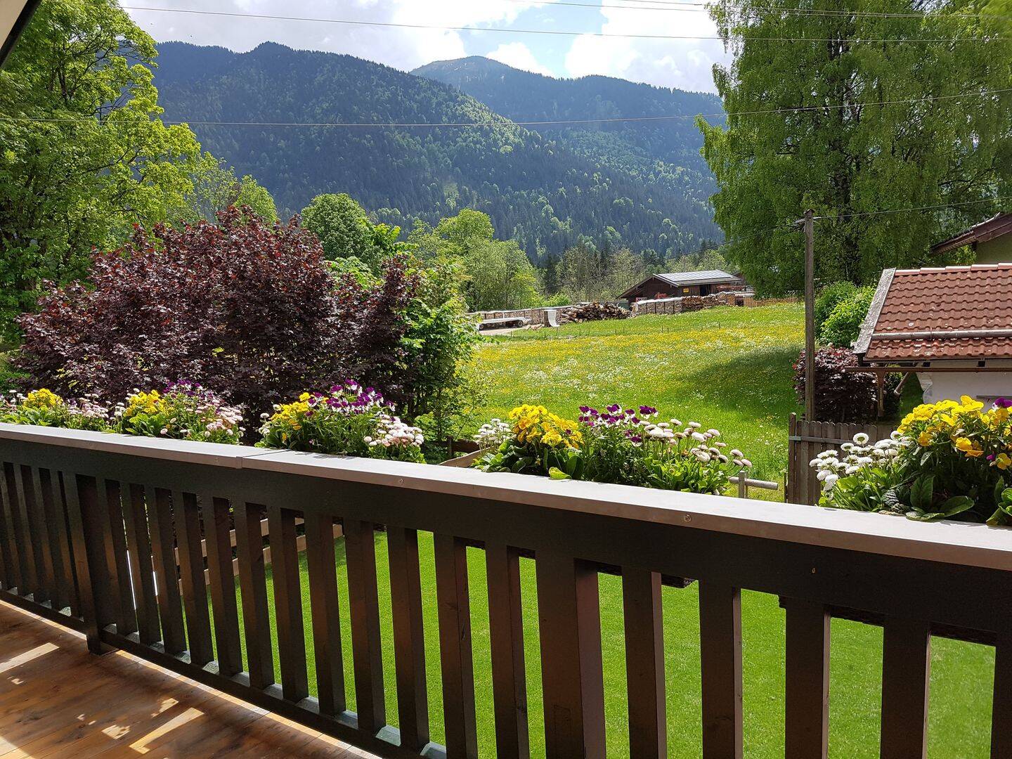 Bild 5