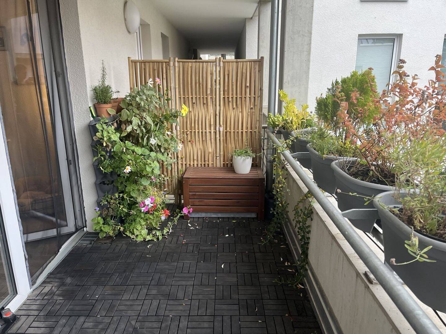 Bild 6